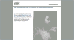 Desktop Screenshot of gallerysink.com